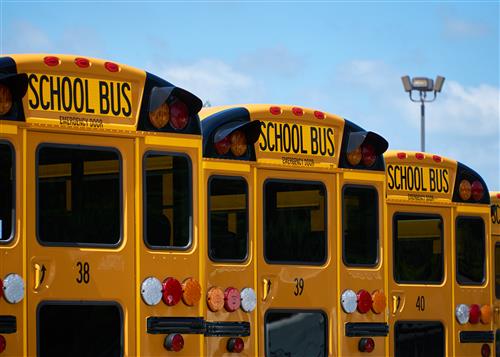 School Buses